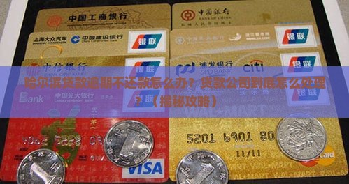 哈尔滨贷款逾期不还款怎么办贷款公司怎么处理 哈尔滨贷款逾期不还款怎么办贷款公司怎么处理