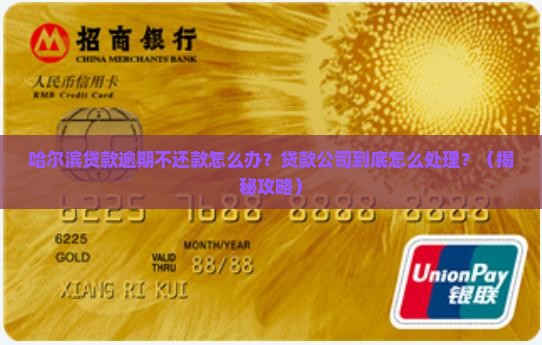 哈尔滨贷款逾期不还款怎么办贷款公司怎么处理 哈尔滨贷款逾期不还款怎么办贷款公司怎么处理