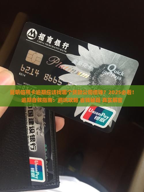昆明信用卡逾期应该找哪个贷款公司借钱