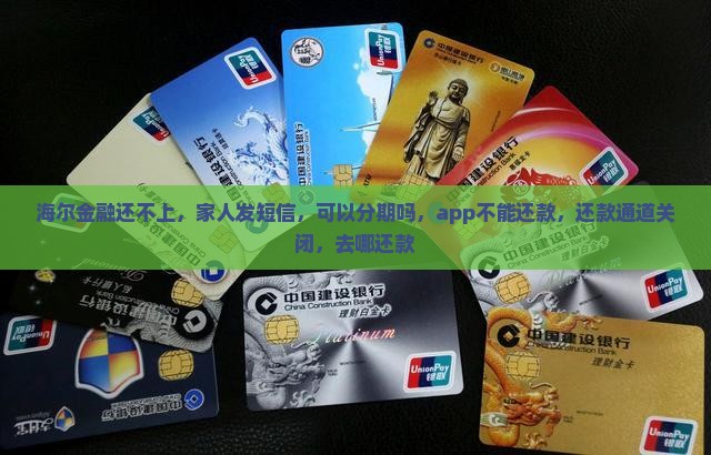 海尔金融还不上