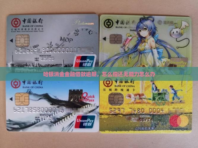 哈银消金无能力偿还借款怎么办