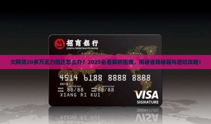 欠网贷20多万无力偿还怎么办