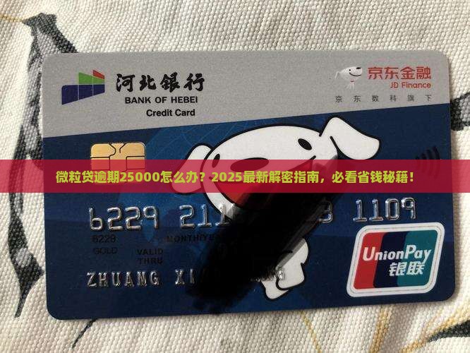 微粒贷逾期25000怎么办