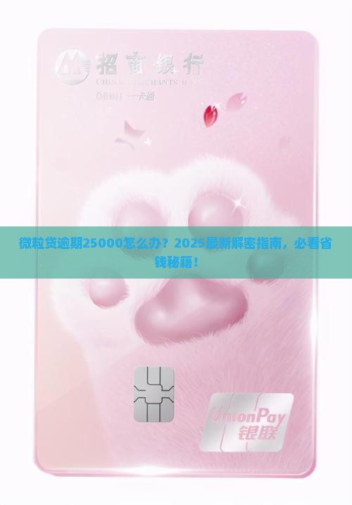 微粒贷逾期25000怎么办