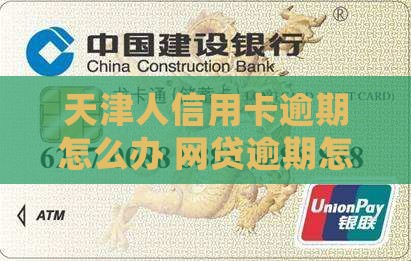 天津人网贷信用卡逾期怎么办