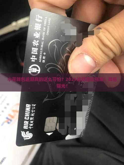 小花钱包逾期亲身经历分享