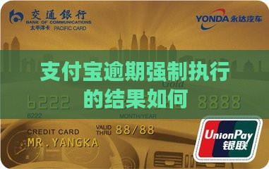 支付宝逾期强制执行的结果如何