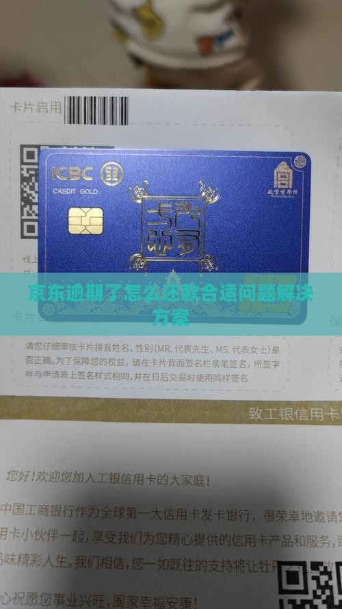 京东逾期了怎么还款合适问题解决方案