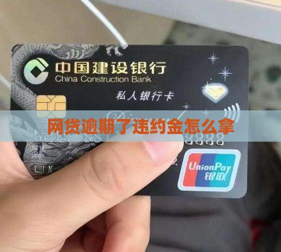 网贷逾期了违约金怎么拿