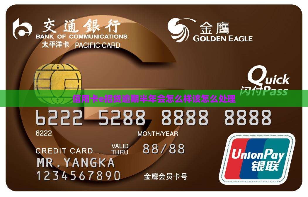 信用卡e招贷逾期半年会怎么样该怎么处理