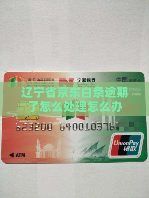 辽宁省京东白条逾期了怎么处理