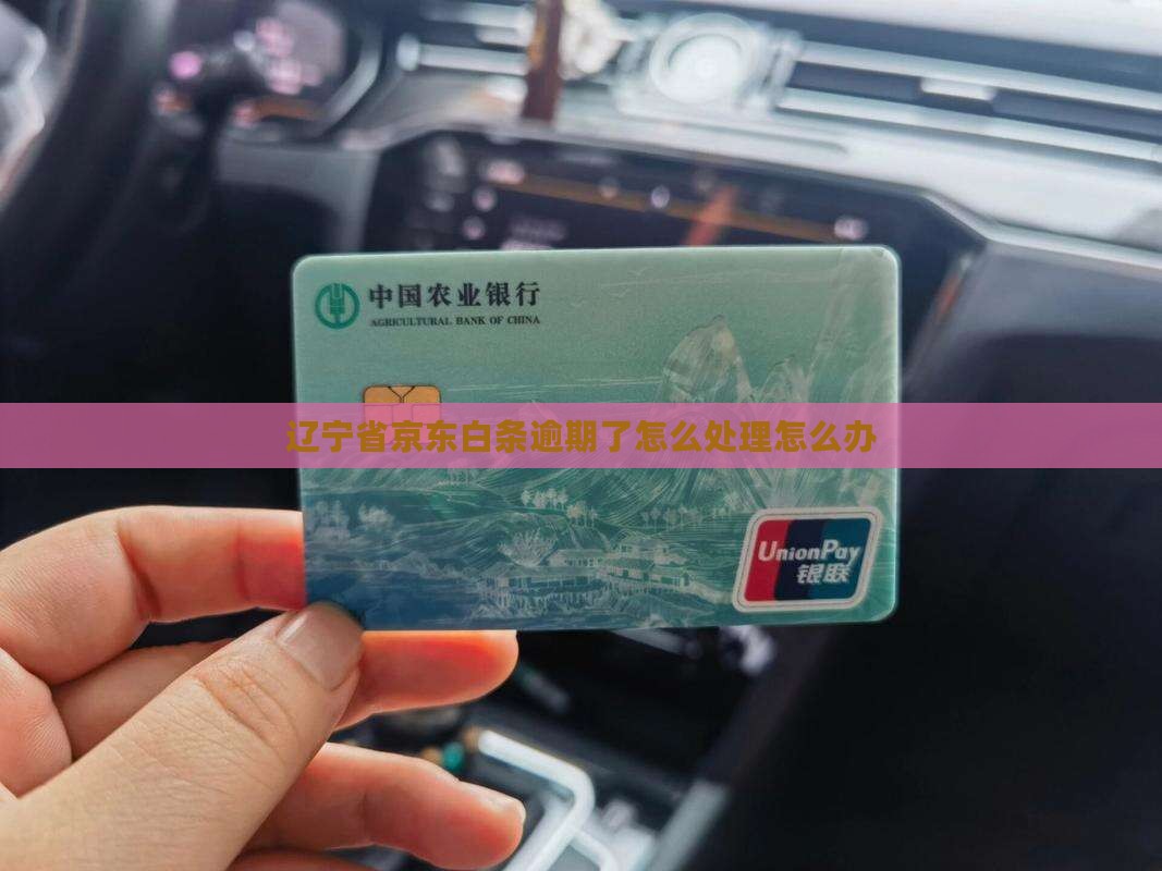 辽宁省京东白条逾期了怎么处理