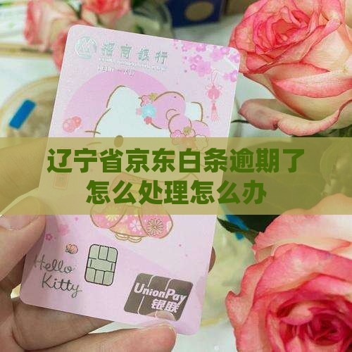 辽宁省京东白条逾期了怎么处理