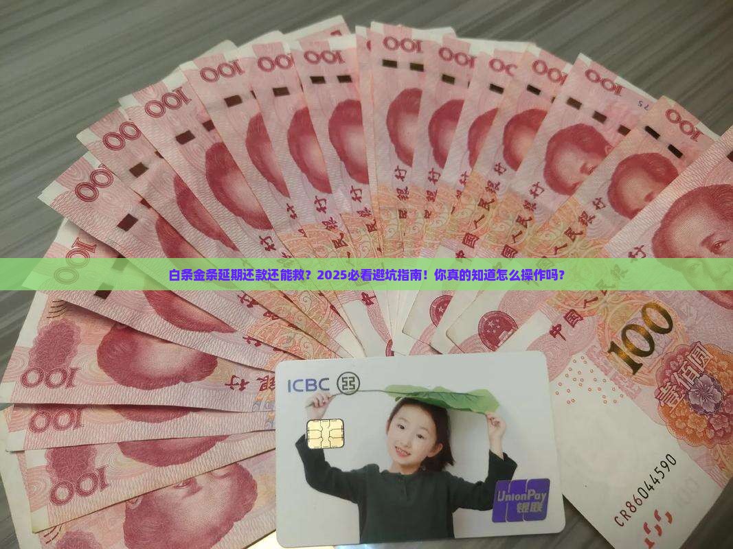 白条和金条延期还款流程解析