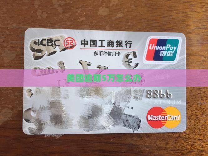 美团逾期5万怎么办
