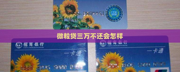 微粒贷三万不还会怎样
