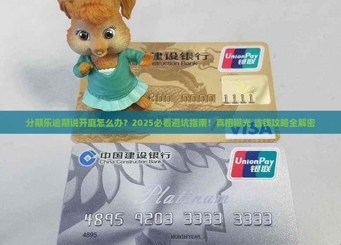分期乐逾期说开庭怎么处理