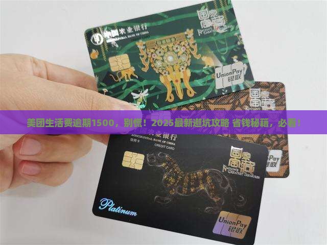 美团生活费逾期1500怎么办