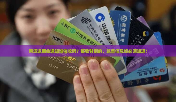 网贷逾期会通知谁催收吗