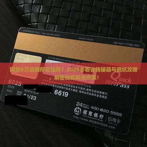 网贷8万欠款逾期停息挂账如何解决