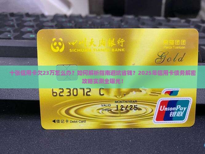 十张信用卡欠23万