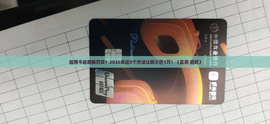 建设信用卡逾期利息减免