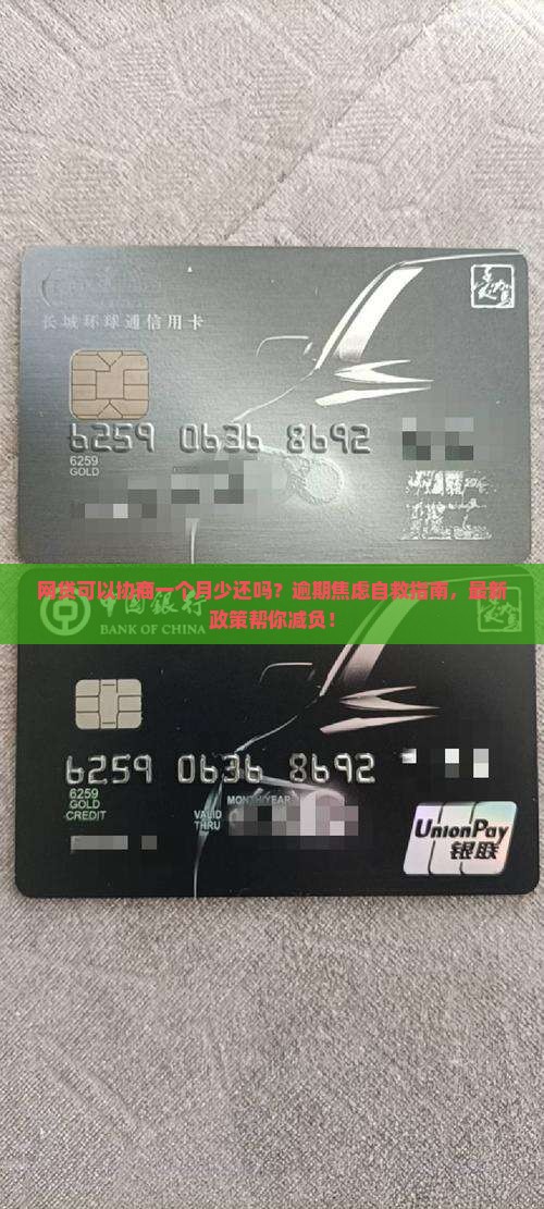 网贷可以协商一个月少还吗