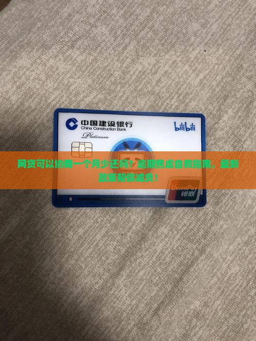 网贷可以协商一个月少还吗