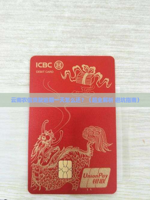 云南农信贷款逾期一天怎么还