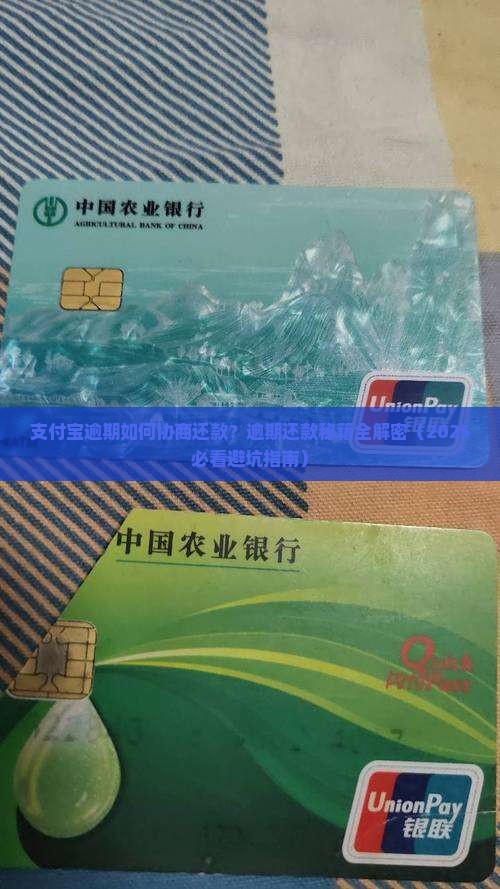 支付宝逾期如何协商还款流程