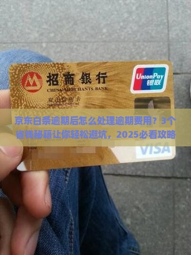 京东白条逾期后怎么处理逾期费用