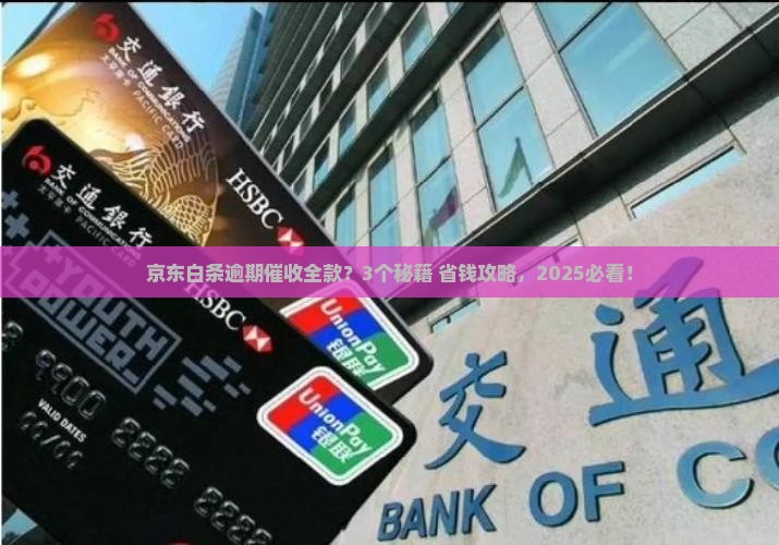 京东白条逾期催收全款应该如何处理