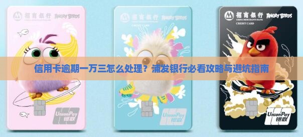 浦发信用卡逾期一万三该如何处理