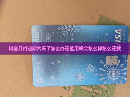 抖音月付逾期六天了