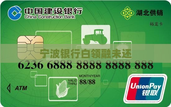 宁波银行白领融未还