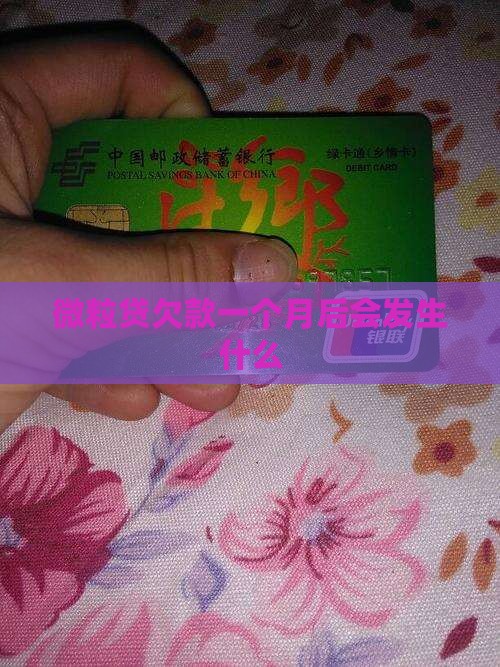 微粒贷欠款一个月后会发生什么