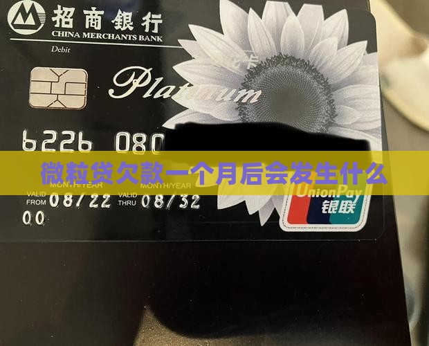 微粒贷欠款一个月后会发生什么