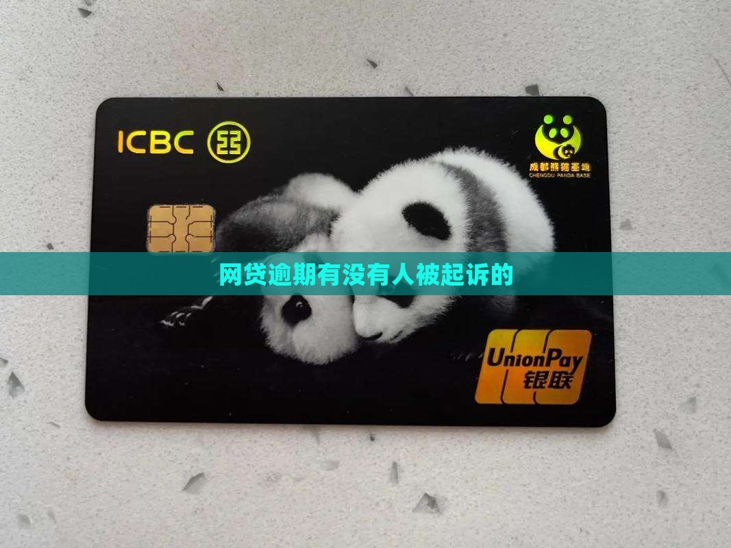 网贷逾期有没有人被起诉的