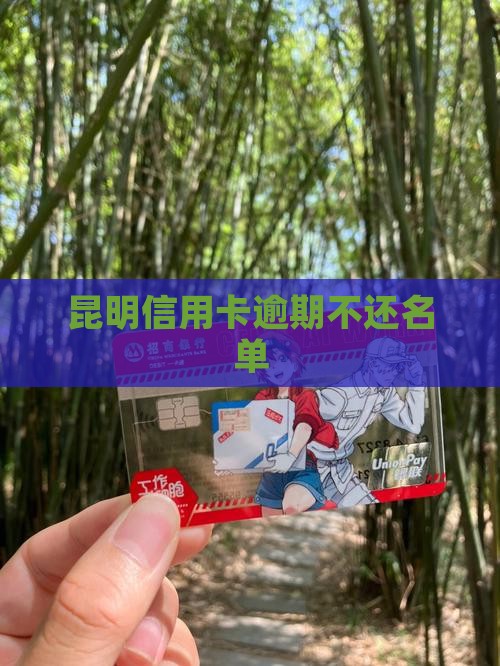 昆明信用卡逾期不还名单