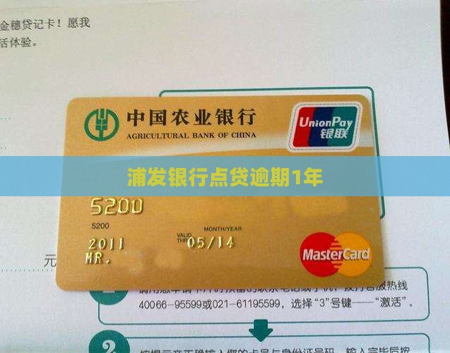 浦发银行点贷逾期1年