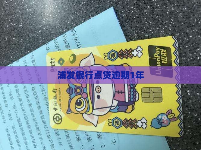 浦发银行点贷逾期1年