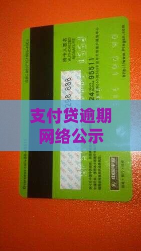 支付贷逾期网络公示