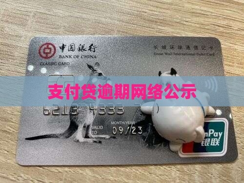 支付贷逾期网络公示