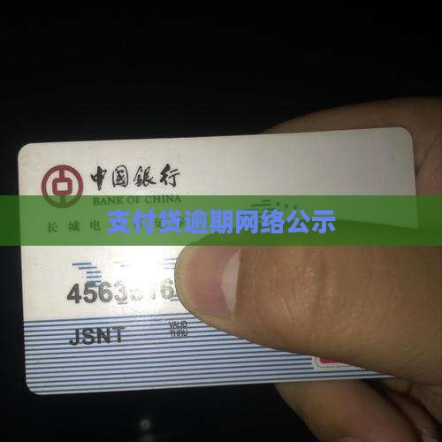 支付贷逾期网络公示