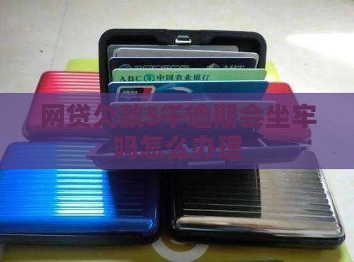 网贷欠款5千逾期会坐牢吗怎么办理