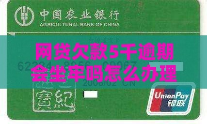 网贷欠款5千逾期会坐牢吗怎么办理