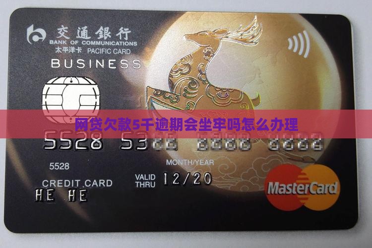 网贷欠款5千逾期会坐牢吗怎么办理
