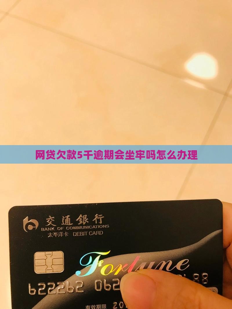 网贷欠款5千逾期会坐牢吗怎么办理
