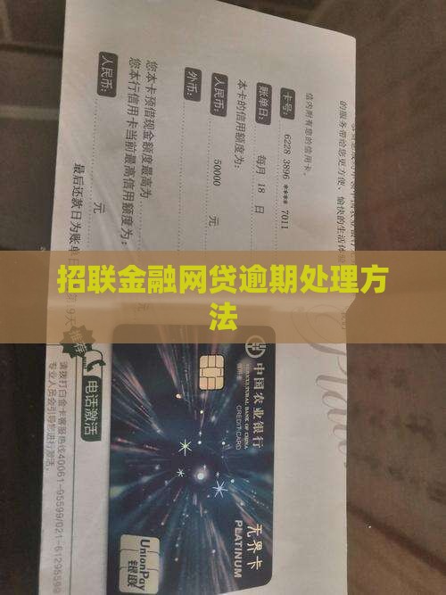招联金融网贷逾期处理方法