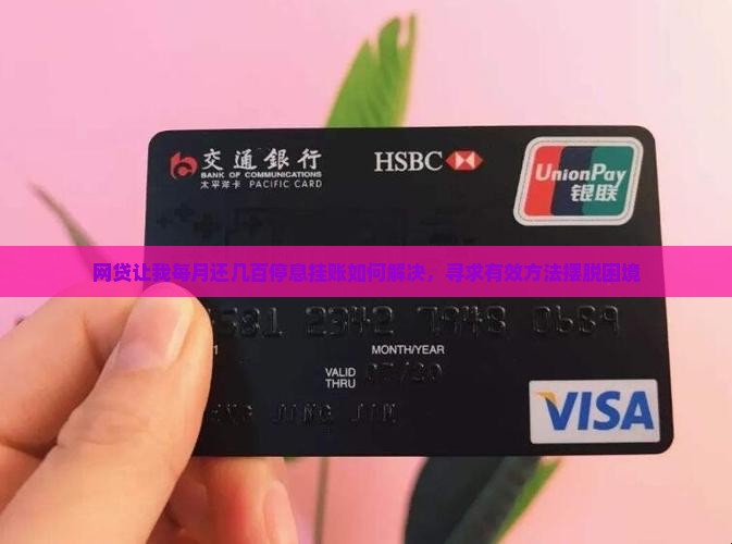 网贷让我每月还几百停息挂账如何解决